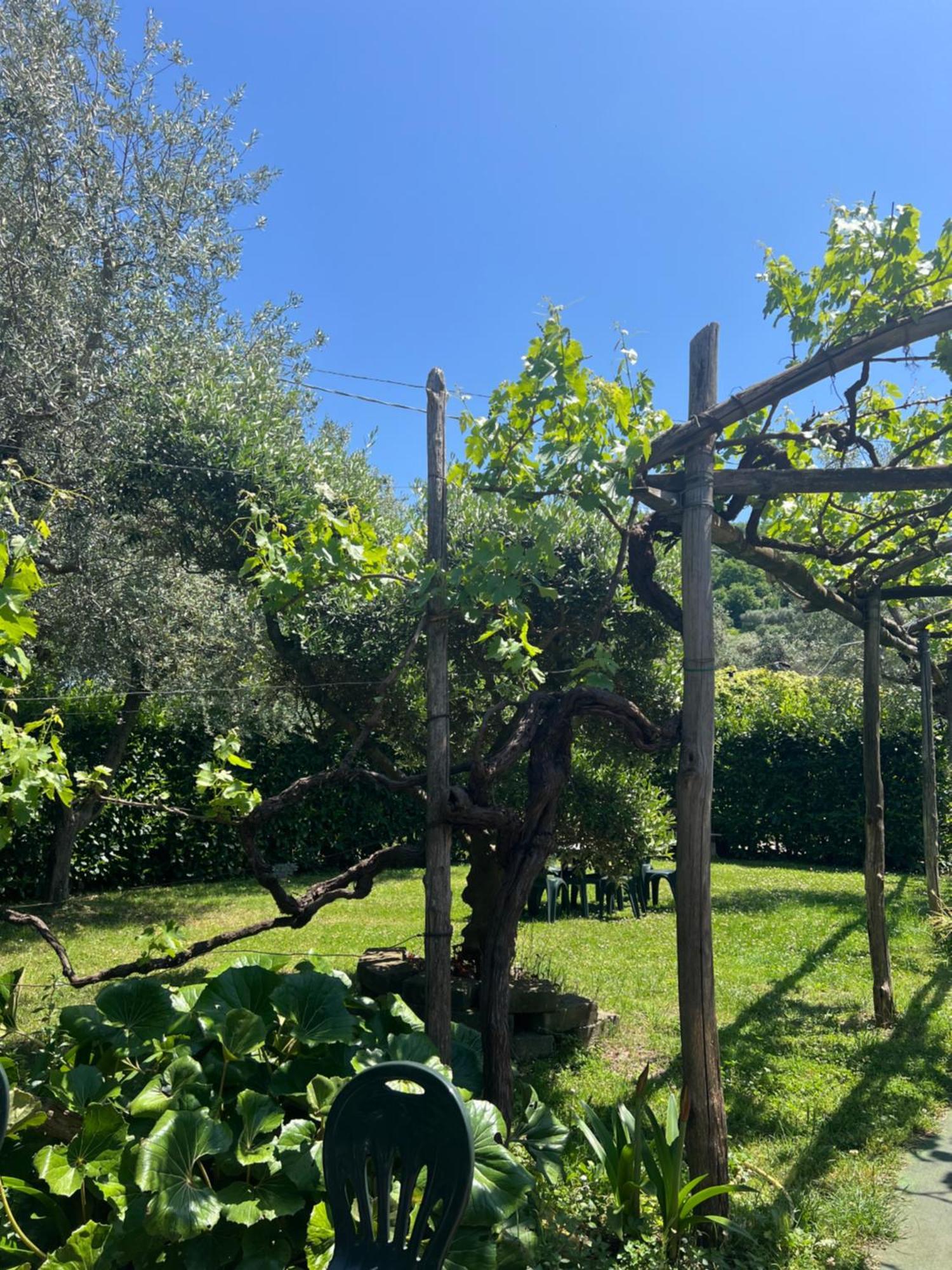 Agriturismo Le Grottelle Villa Sant'Agata sui due Golfi Exterior photo